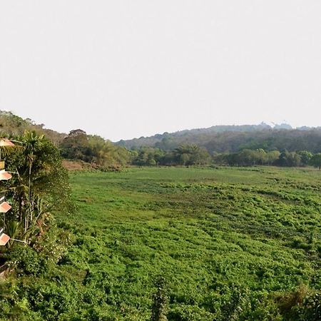 Jungle Palace Homestay Thekkady Luaran gambar