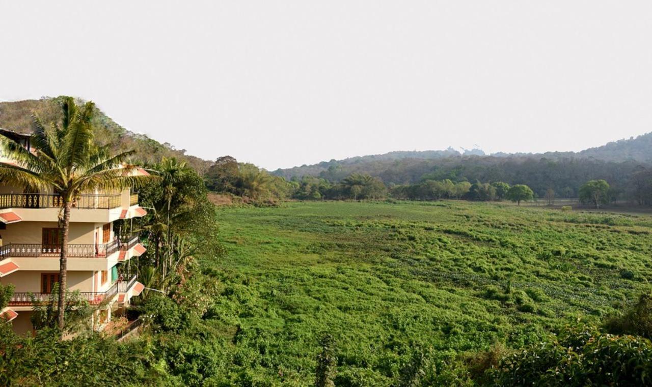 Jungle Palace Homestay Thekkady Luaran gambar