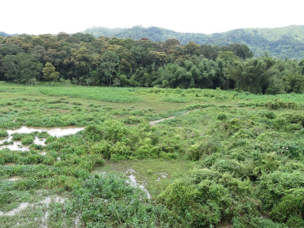 Jungle Palace Homestay Thekkady Luaran gambar