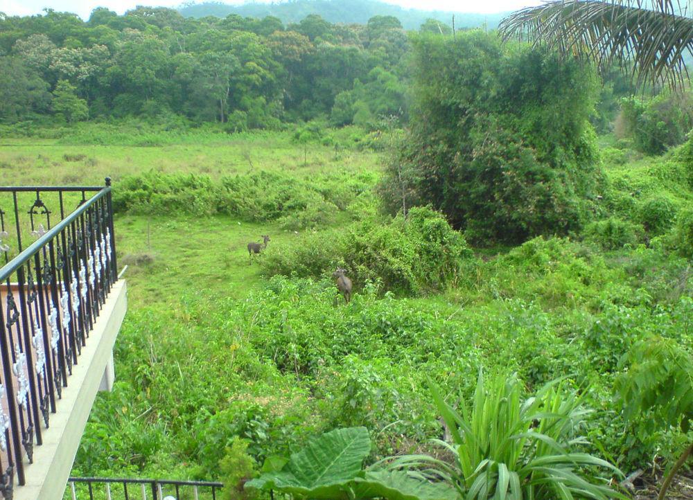Jungle Palace Homestay Thekkady Luaran gambar